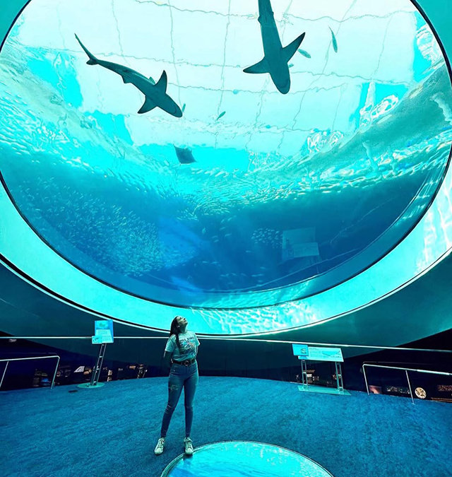 frost-science-museum-logo